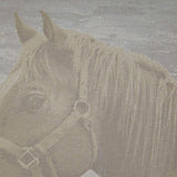 D.V. Kap Home Mister Ed Ivory 24" x 24" Pillow Cover