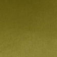 D.V. Kap Home Belvedere Flange Aloe  Fabric
