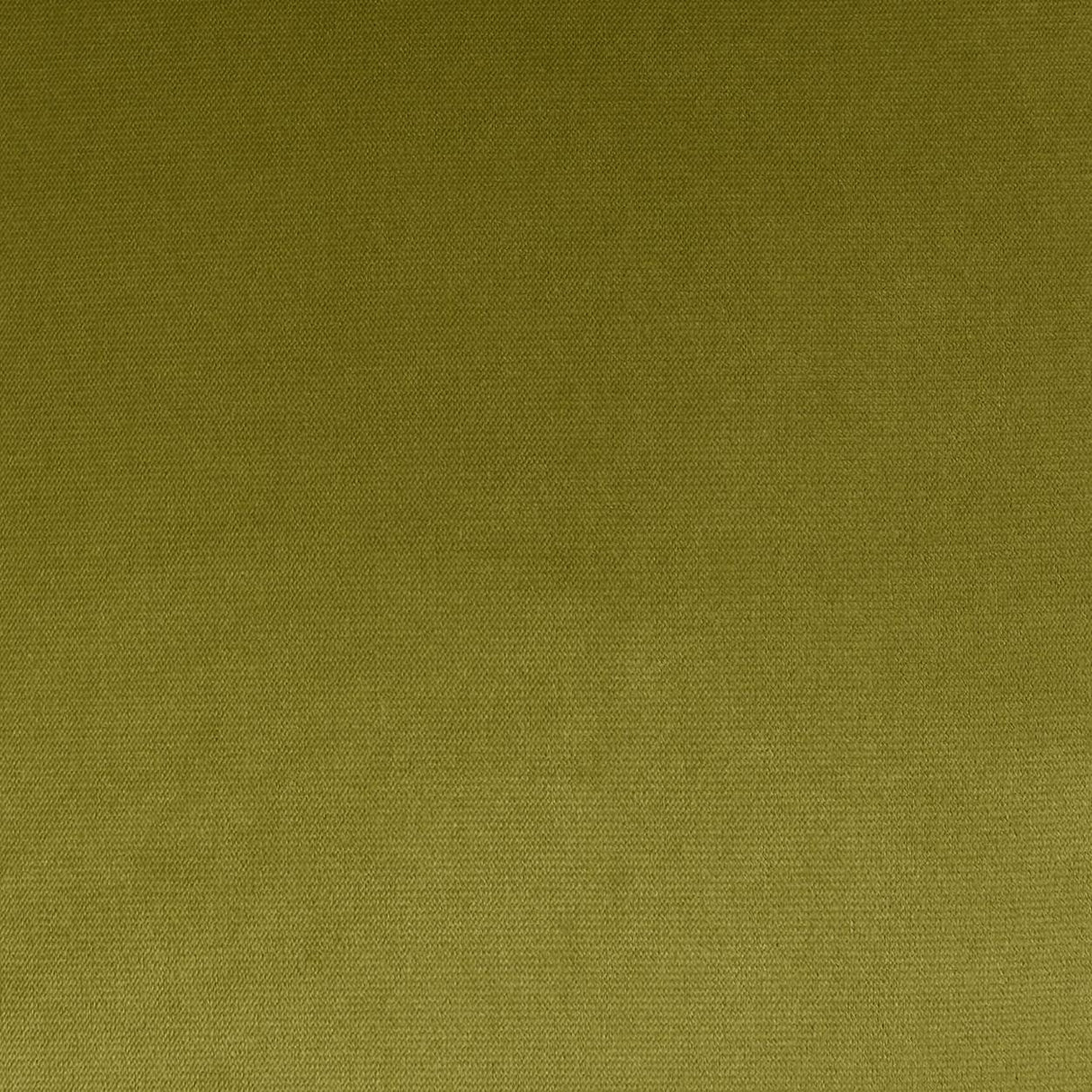 D.V. Kap Home Belvedere Flange Aloe  Fabric