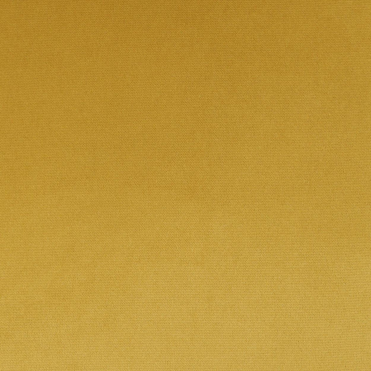 D.V. Kap Home Belvedere Flange Curry  Fabric