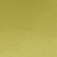 D.V. Kap Home Belvedere Flange Lime  Fabric