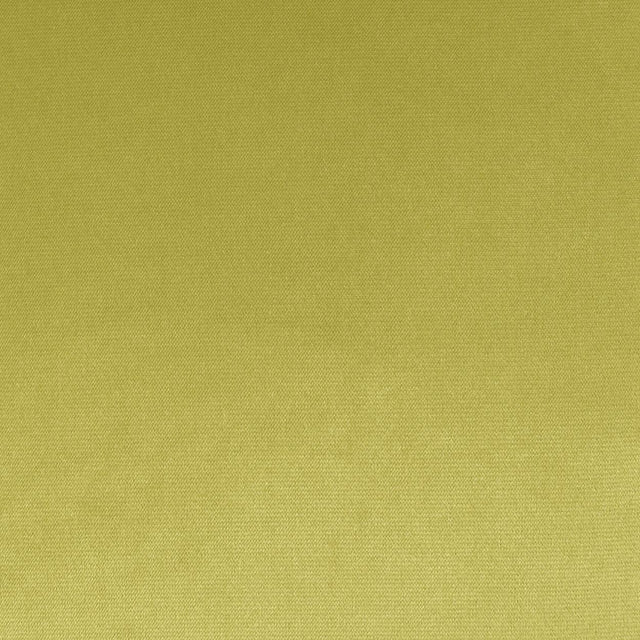 D.V. Kap Home Belvedere Flange Lime  Fabric
