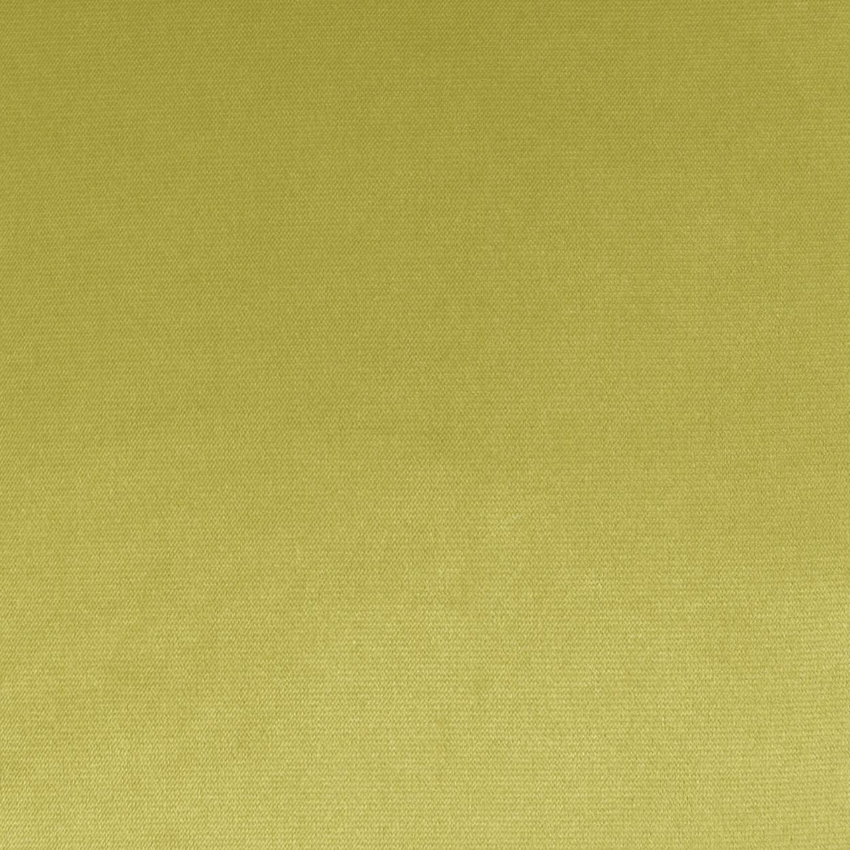 D.V. Kap Home Belvedere Flange Lime 24" x 24" Pillow Cover