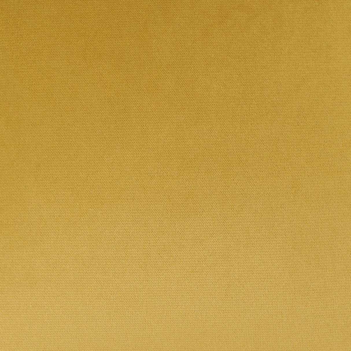 D.V. Kap Home Belvedere Curry  Fabric