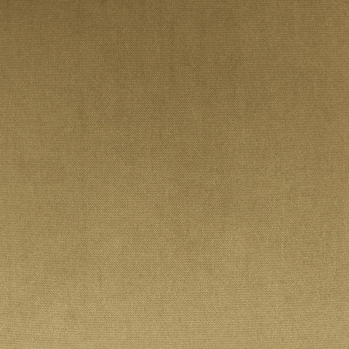 D.V. Kap Home Belvedere Maize  Fabric