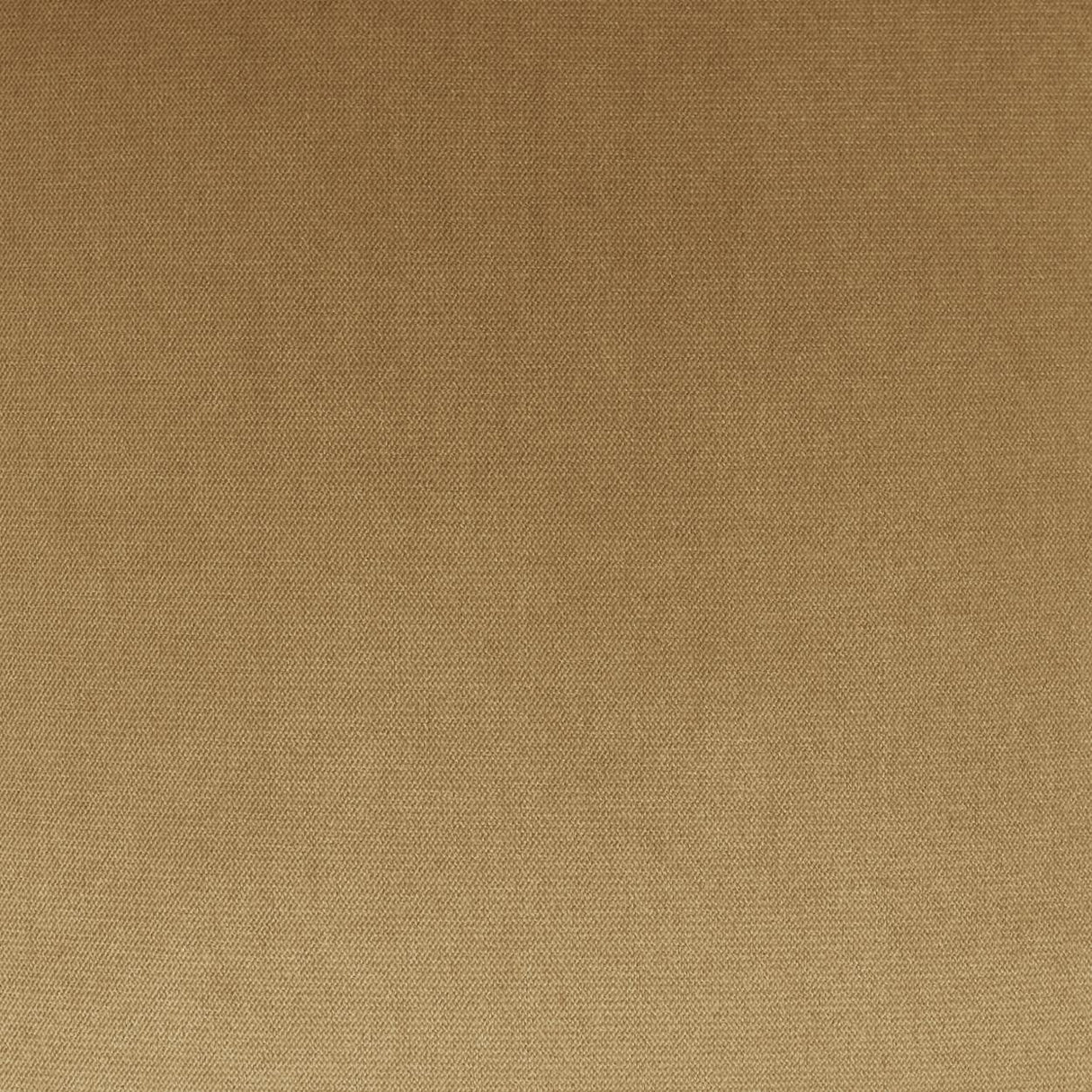 D.V. Kap Home Belvedere Tiger's Eye  Fabric