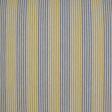 D.V. Kap Home Creighton Citron  Fabric