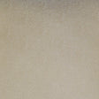 D.V. Kap Home Whimsical Ivory  Fabric