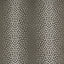 D.V. Kap Home Pearl Grey  Fabric