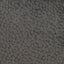 D.V. Kap Home Rexford Charcoal  Fabric