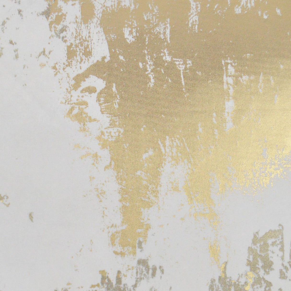 D.V. Kap Home Roxy Gold  Fabric