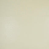 D.V. Kap Home Rodeo Ivory  Fabric
