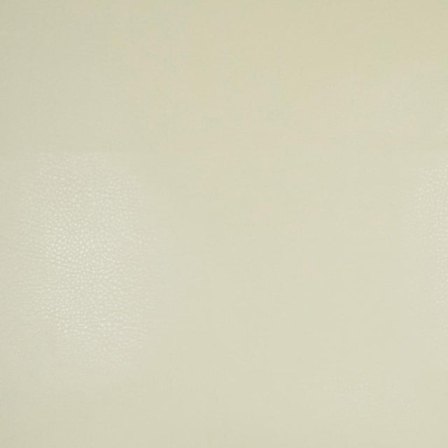 D.V. Kap Home Rodeo Ivory  Fabric