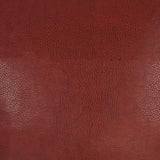 D.V. Kap Home Rodeo Red 24" x 24" Pillow Cover