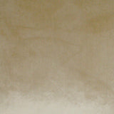 D.V. Kap Home Flirty Gilt 24" x 24" Pillow Cover