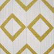 D.V. Kap Home Dublin Citron  Fabric