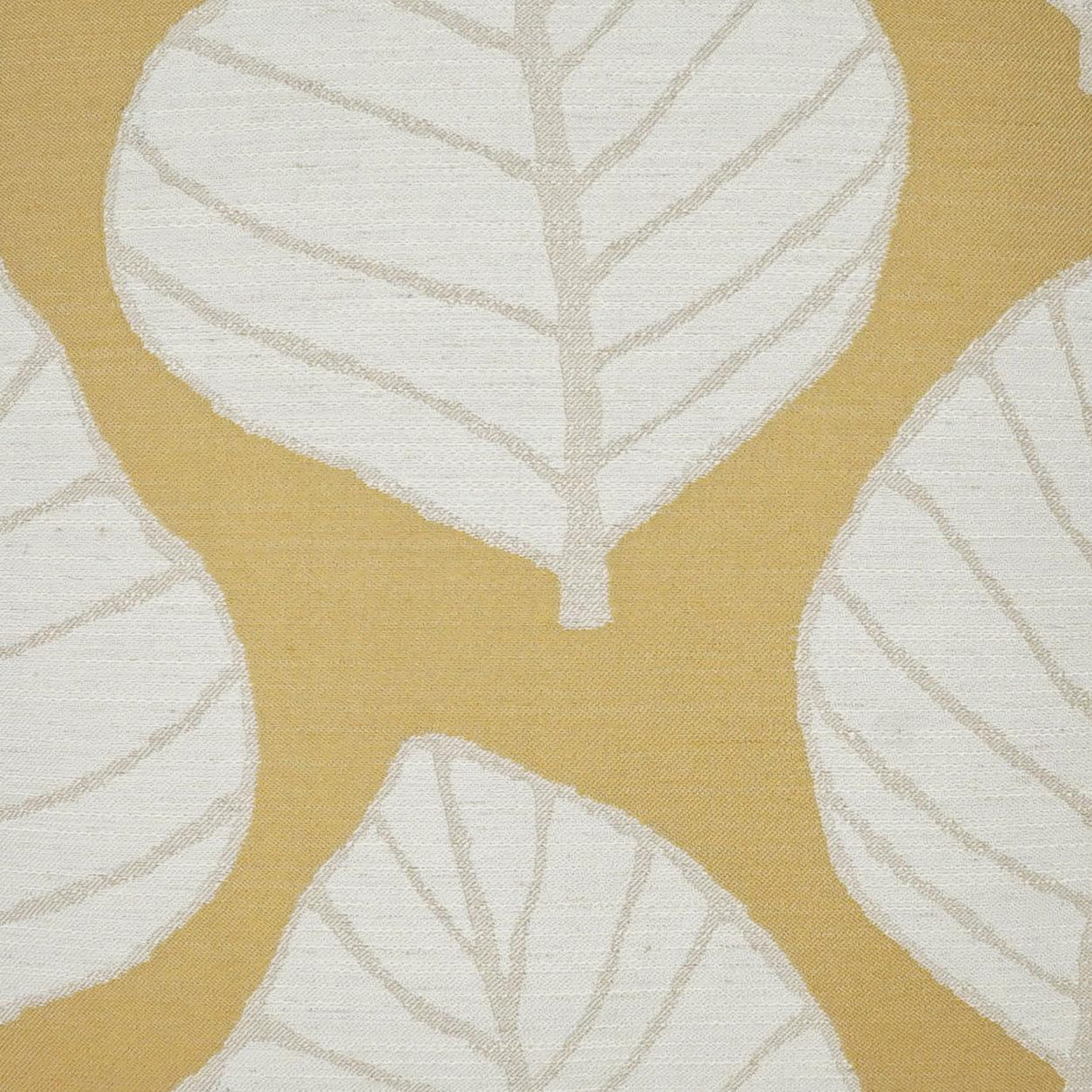 D.V. Kap Home Mamie Citron 24" x 24" Pillow Cover