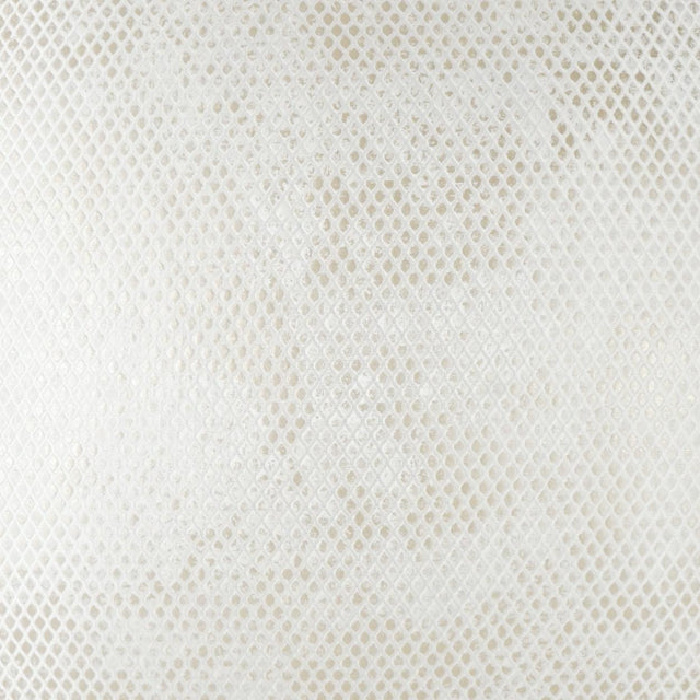 D.V. Kap Home Pitone Ivory  Fabric