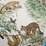 D.V. Kap Home Madagascar Multi  Fabric