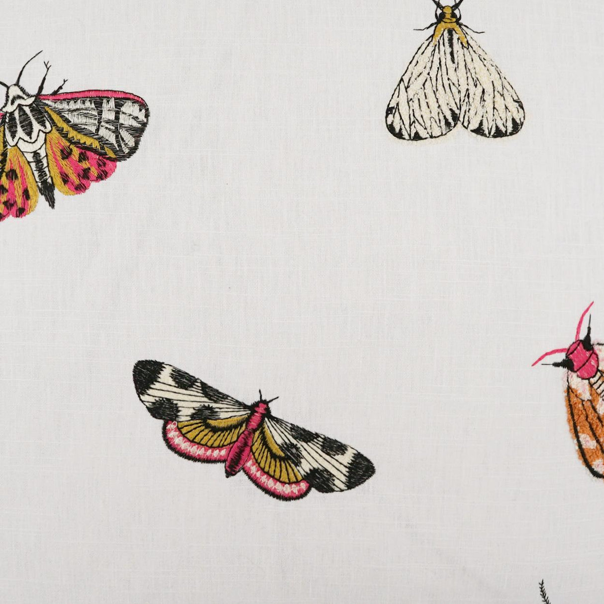 D.V. Kap Home Flutter Embroidery, Novelty  Fabric