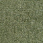D.V. Kap Home Contessa Solid, Textured  Fabric