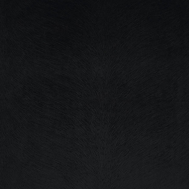 D.V. Kap Home Venture Black  Fabric