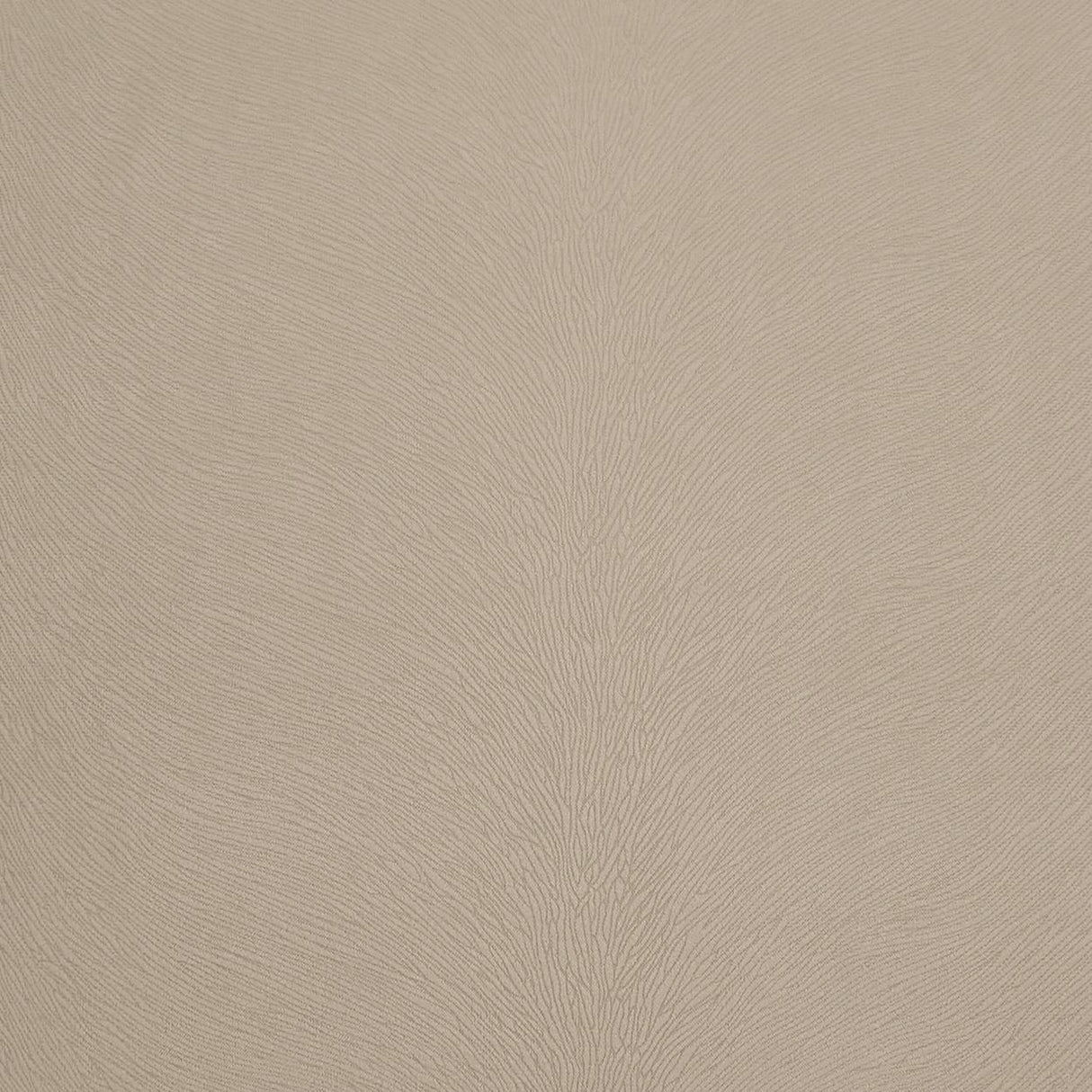 D.V. Kap Home Venture Ivory  Fabric