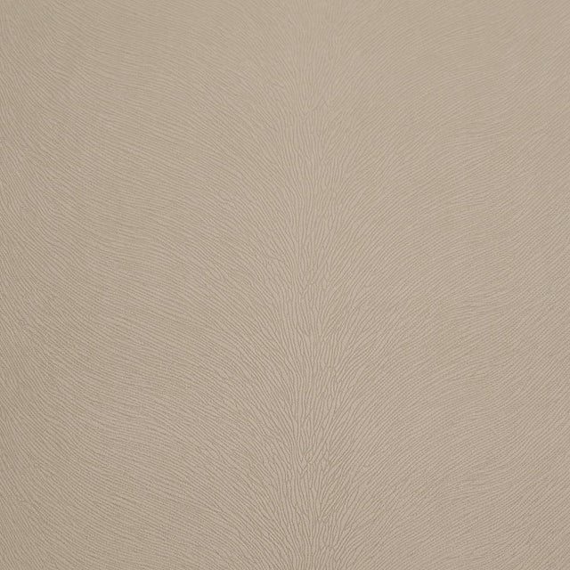 D.V. Kap Home Venture Ivory  Fabric