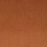 D.V. Kap Home Venture Terracotta  Fabric