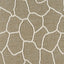 D.V. Kap Home Alger Wheat  Fabric