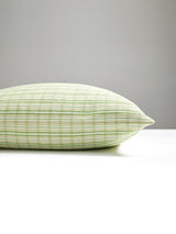 Scalamandre Check Please Outdoor 22 X 22 - Fern Decorative Pillow