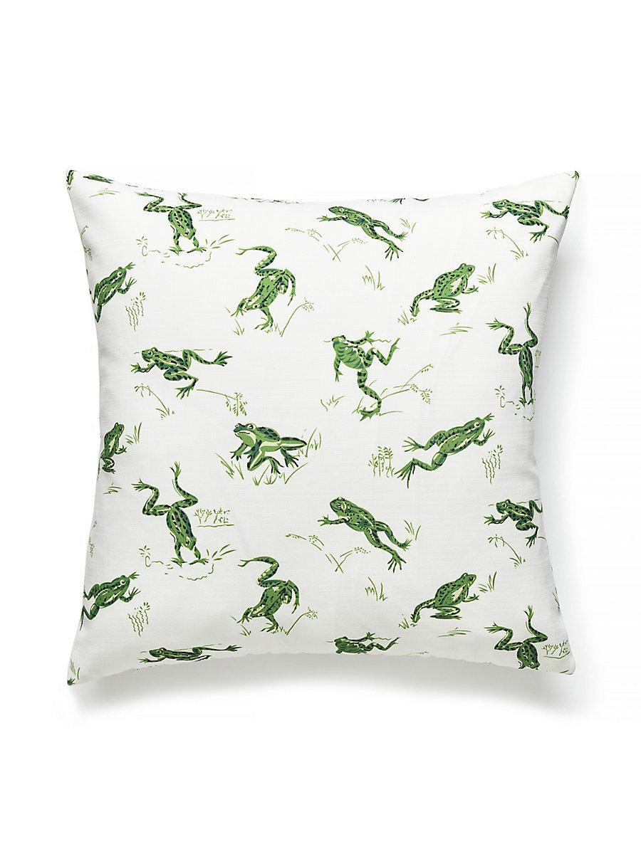 Scalamandre Calabasas Cnty Outdoor 22 X 22 - Snap Pea Decorative Pillow
