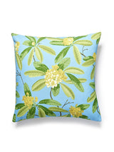 Scalamandre Rhododendron Outdoor 22 X 22 - Carolina Decorative Pillow