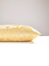 Scalamandre Love Bird 22 X 22 - Sun Decorative Pillow