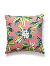 Scalamandre Rhododendron Outdoor 22 X 22 - Flamingo Decorative Pillow