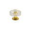 Worlds Away Round Acrylic And Brass Knob