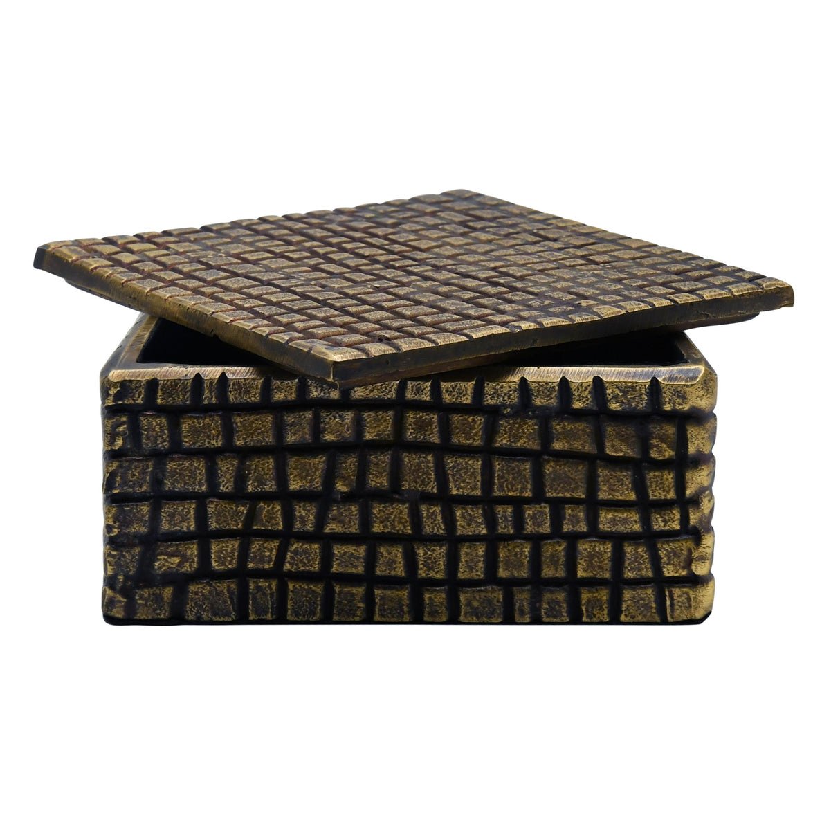 Worlds Away Large Brass Aluminum Box With Reptile Texture
