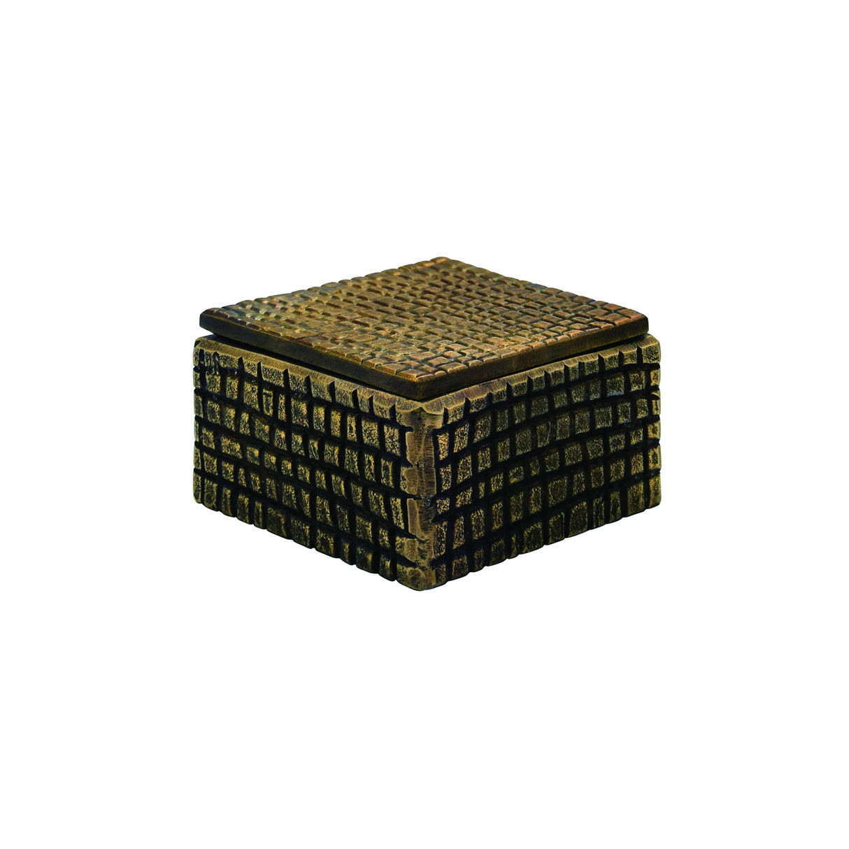 Worlds Away Small Brass Aluminum Box With Reptile Texture