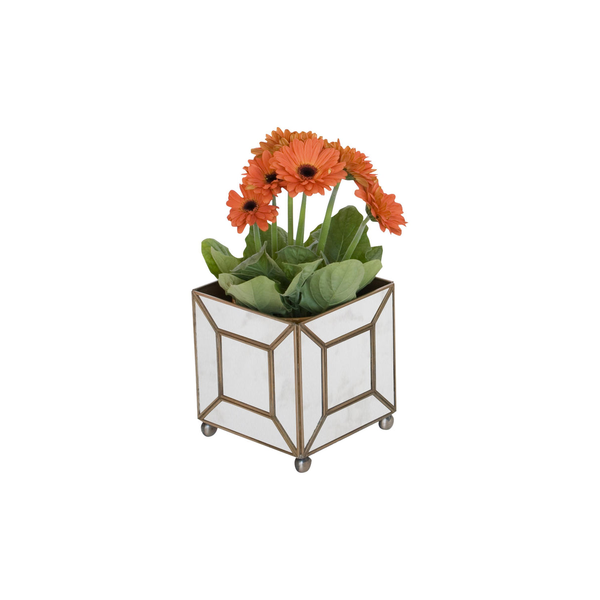 Worlds Away Ant Mir Classic Planter
