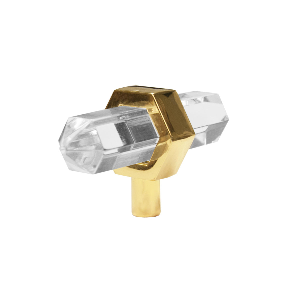 Worlds Away Brass And Acrylic Prism Hardware