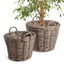 Napa Nature's Gray NORMANDY TREE BASKETS, SET OF 2