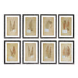 Napa  FRAMED VINTAGE FERN PRINTS, SET OF 8