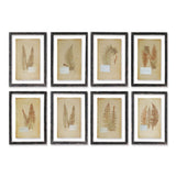 Napa  FRAMED VINTAGE FERN PRINTS, SET OF 8
