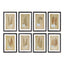 Napa  FRAMED VINTAGE FERN PRINTS, SET OF 8
