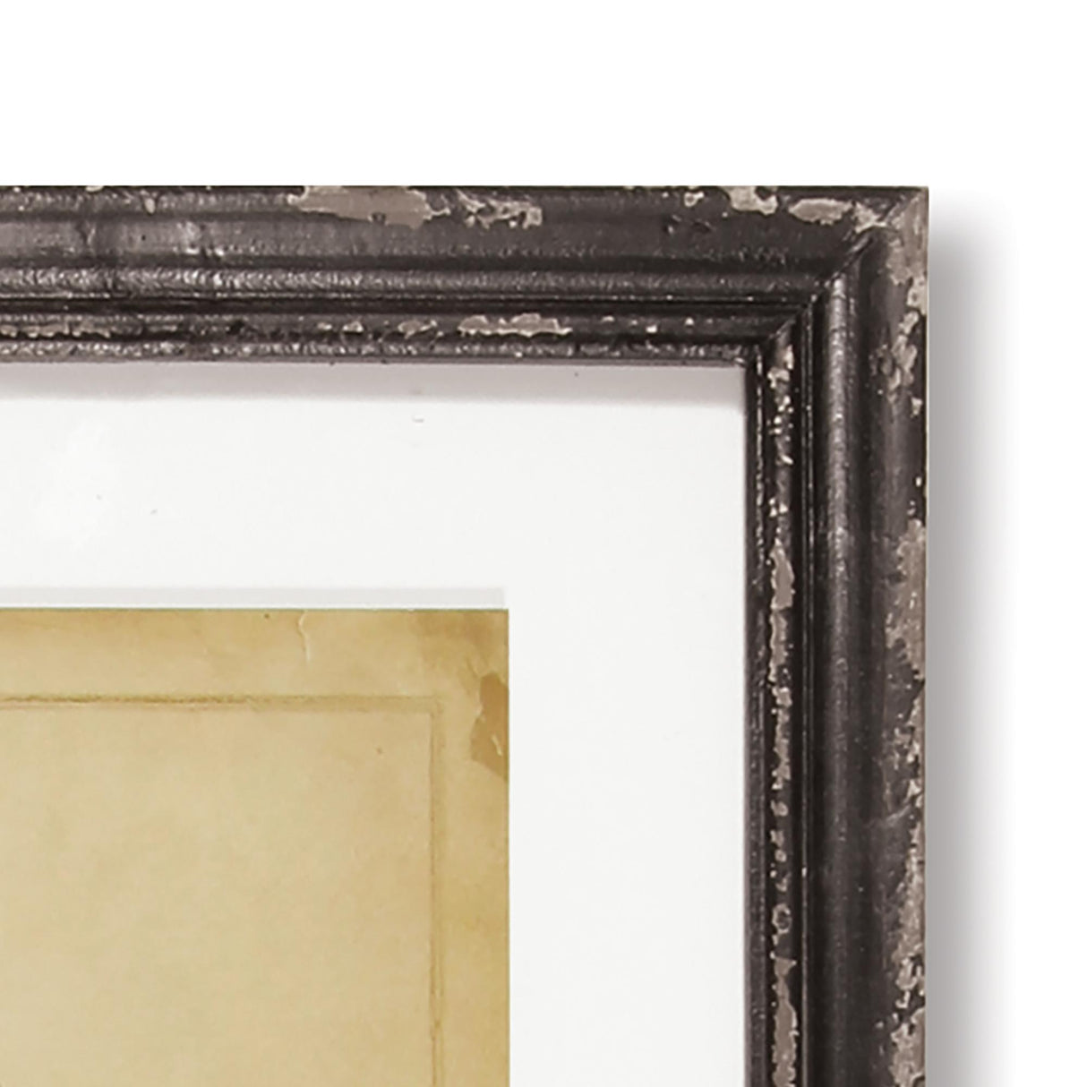 Napa  FRAMED VINTAGE FERN PRINTS, SET OF 8