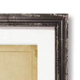 Napa  FRAMED VINTAGE FERN PRINTS, SET OF 8