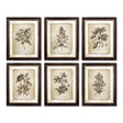 Napa  FRAMED VINTAGE FLORAL PRINTS, SET OF 6