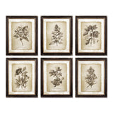 Napa  FRAMED VINTAGE FLORAL PRINTS, SET OF 6