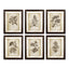 Napa  FRAMED VINTAGE FLORAL PRINTS, SET OF 6