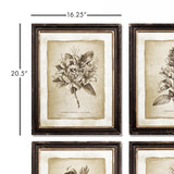 Napa  FRAMED VINTAGE FLORAL PRINTS, SET OF 6